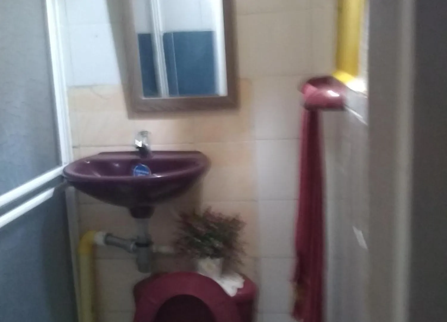 Guest house Green Sea Inn San Luis Cueva de Morgan